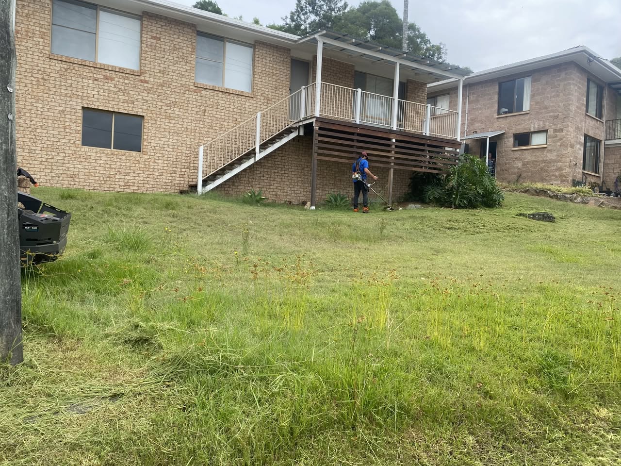 Brick-house yard before mowing — Steven knocking down long overgrown grass with the whippersnipper.