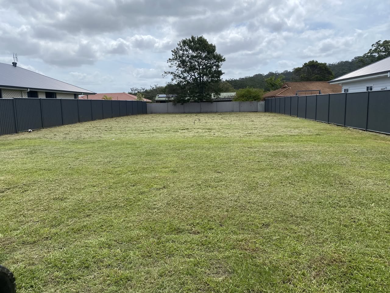 Same backyard after the zero-turn pass — even, short grass running fence-to-fence.